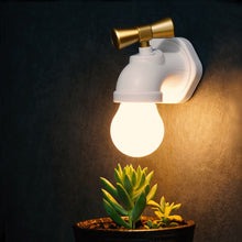 Load image into Gallery viewer, Night Light